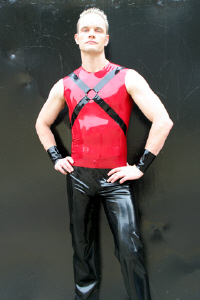 Harness-Top